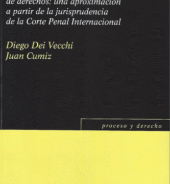Estándares de suficiencia probatoria y ponderación: Diego Dei Vecci / Juan Cumiz