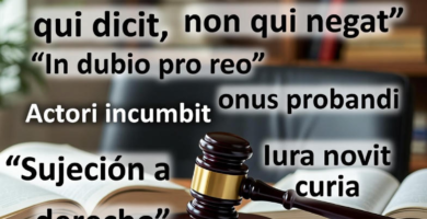 Aforismos relacionados con el Derecho Probatorio